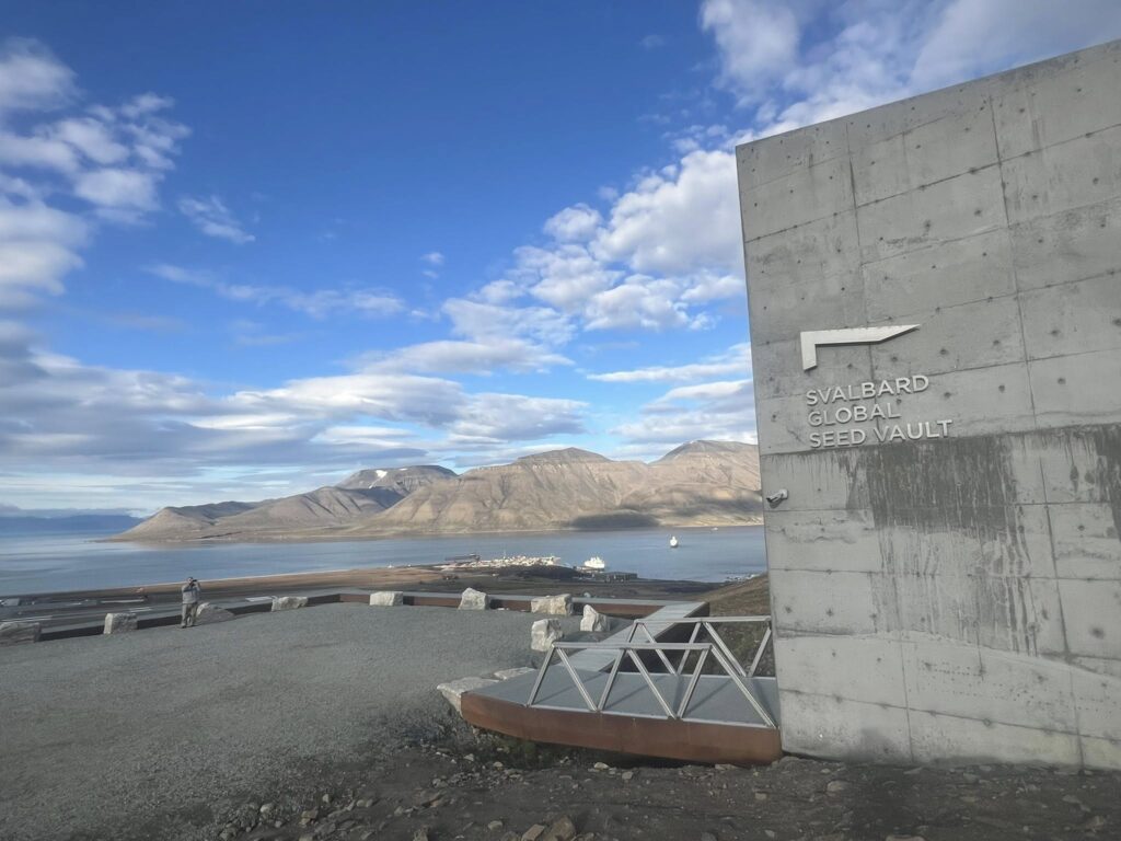 spitsbergen globalny bank nasion