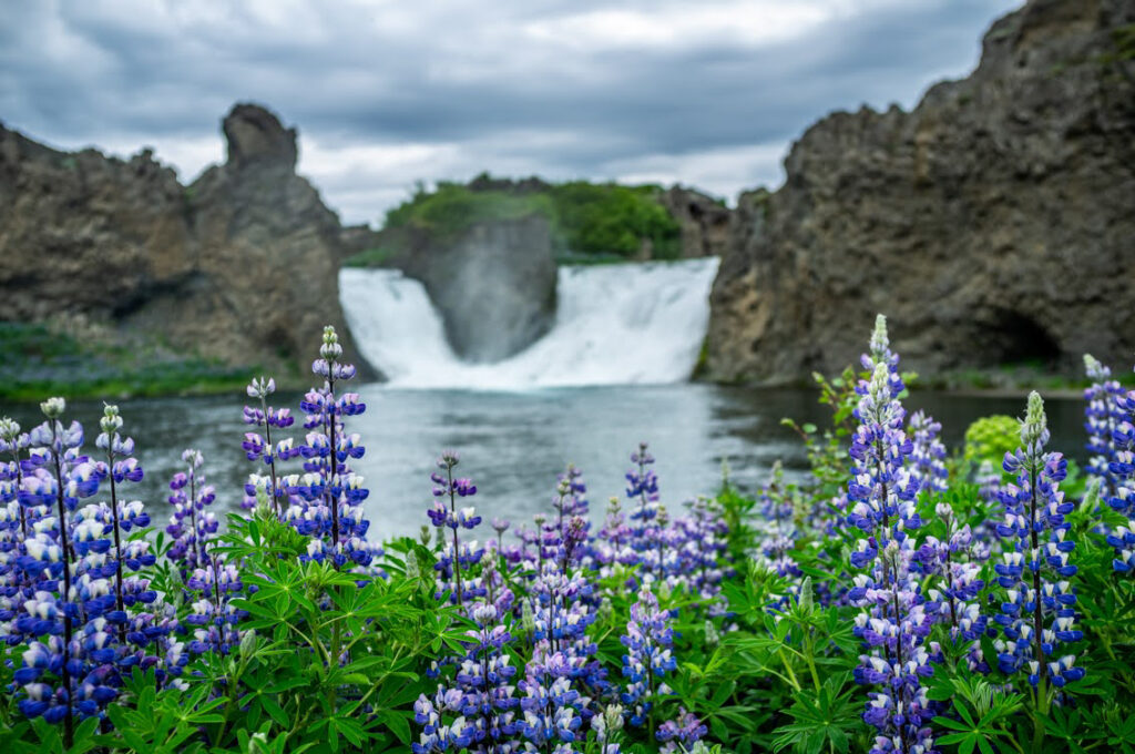 islandia wycieczka lunditravel.com