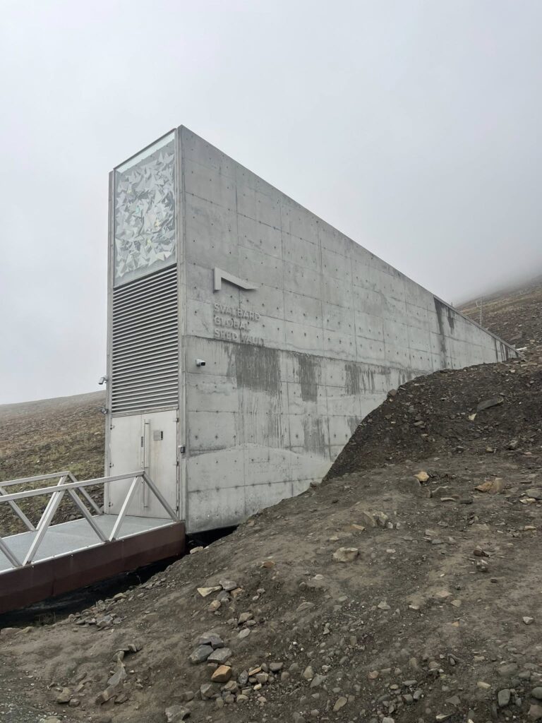 spitsbergen globalny bank nasion