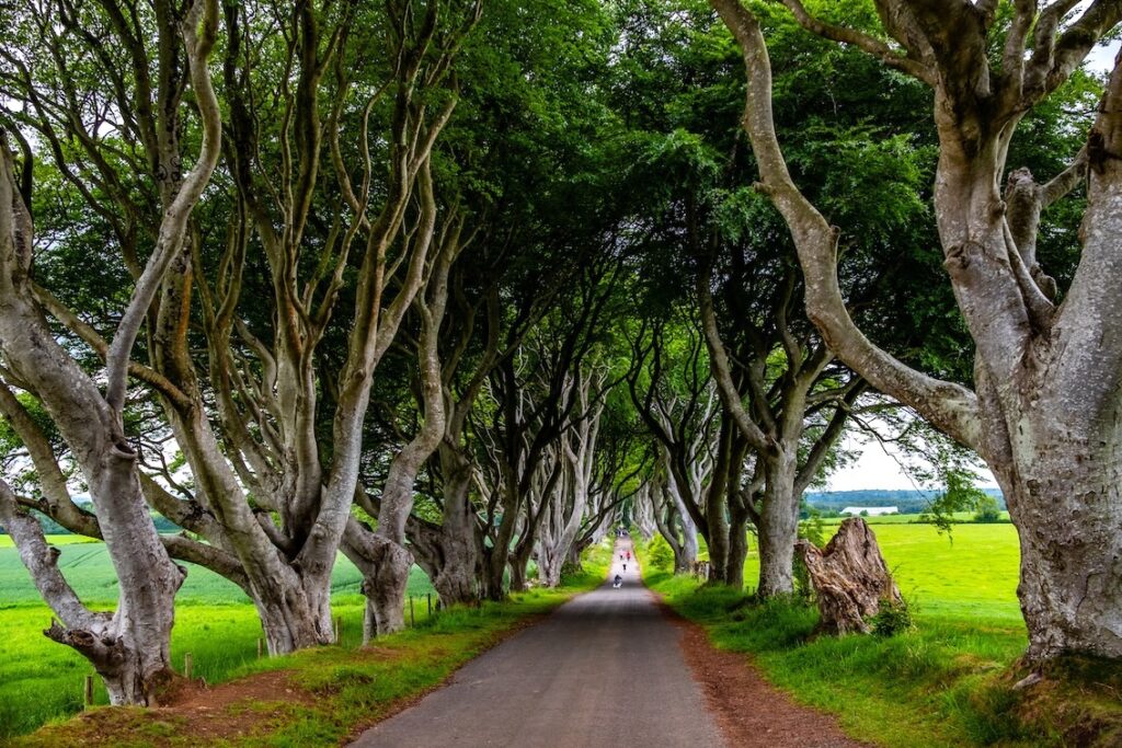 irlandia wycieczka z przewodnikiem
