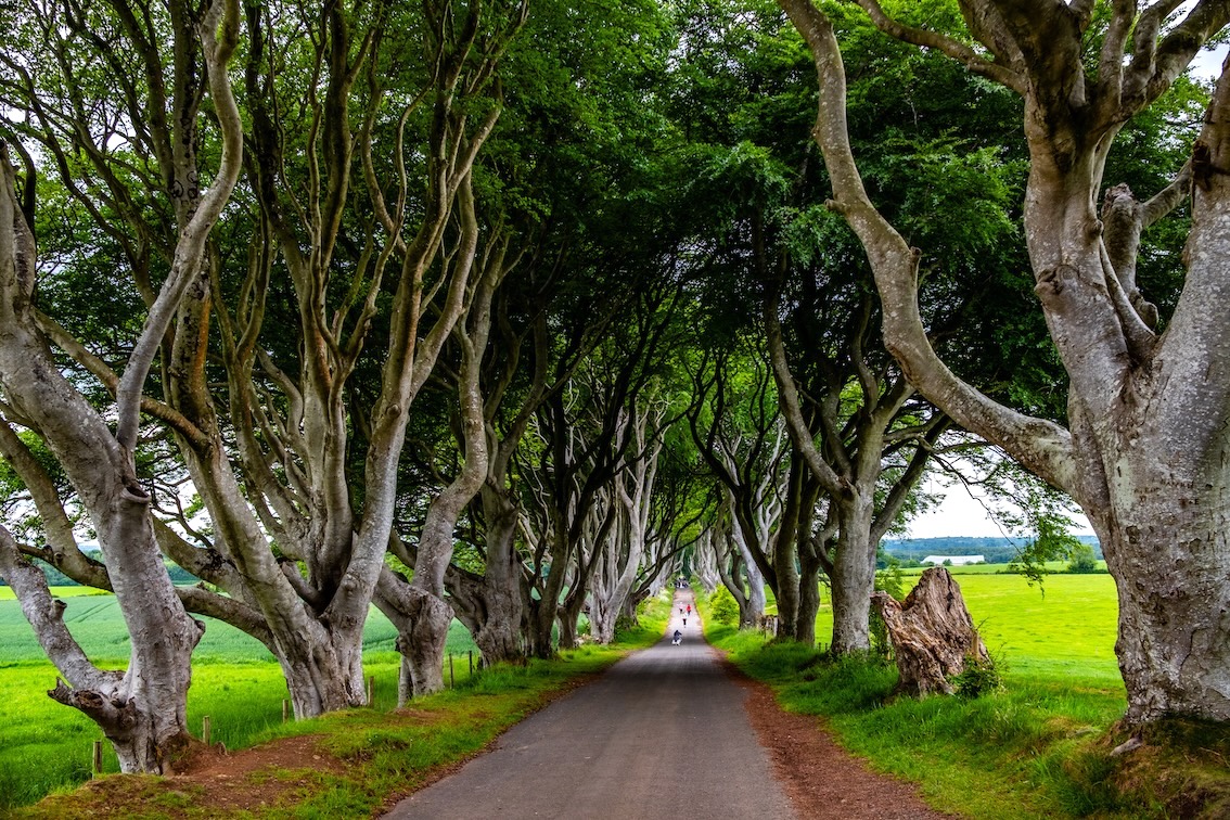 irlandia wycieczka z przewodnikiem